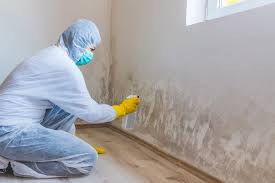 Best Commercial Mold Inspection  in Keokea, HI